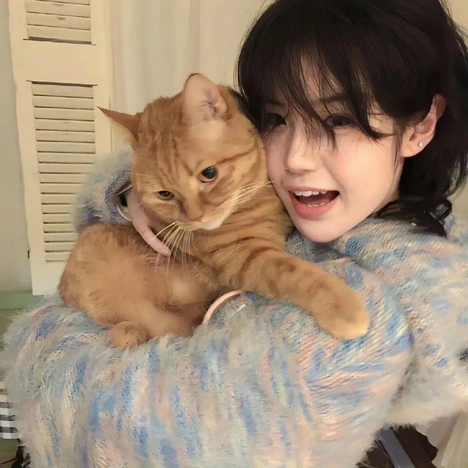 落魄千金奉子成婚